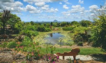 Maleny Botanic Gardens & Bird World
