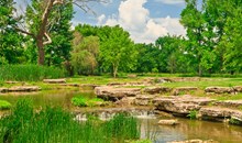 Forest Park