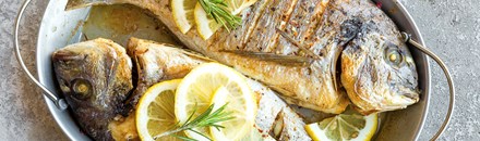 Ocean Basket