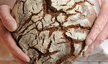 Bread Furst