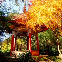 Golden Temple Park