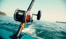 Captain Stacy Fishing Center