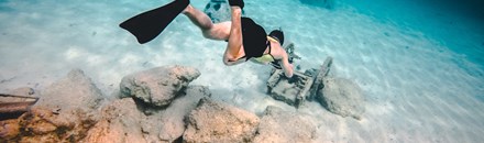 Blue Planet Divers