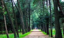 Viveros de Coyoacán