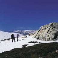 Mount Kosciuszko