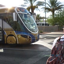 Public Transport