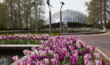 Missouri Botanical Garden
