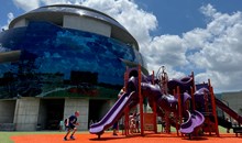 Museum of Science & Industry