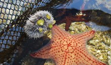 Key West Aquarium