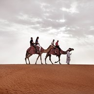 Desert Safaris