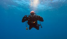 Diver & Siren Scuba Diving Courses