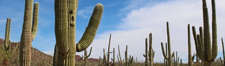 Spur Cross Ranch Conservation