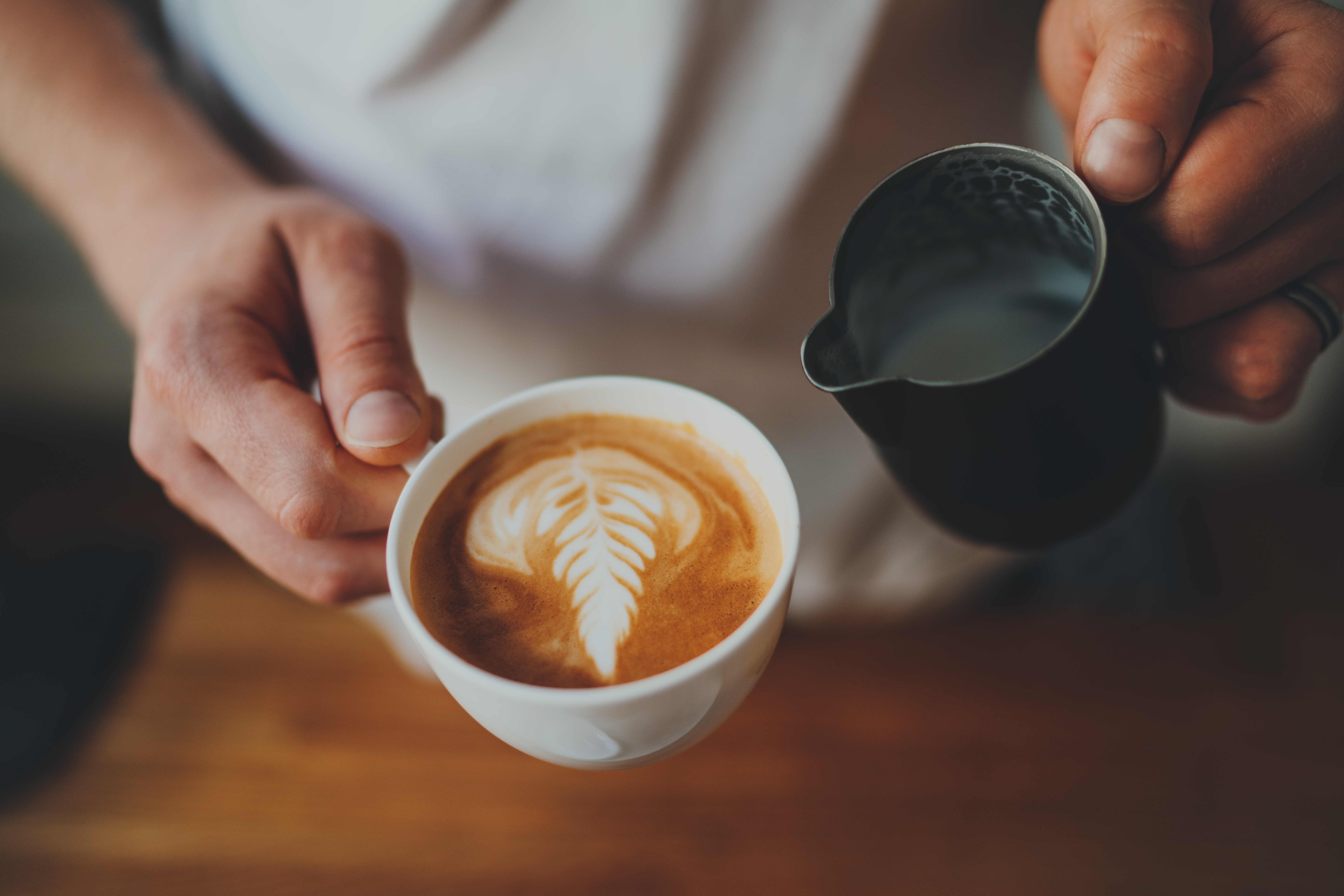 Close up shot of professional barista holding cup of fresh cappuccino with beautiful rosetta flower while working at the bar counter in cafe, coffee shop worker making cappuccino with latte art