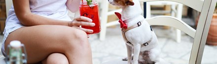 Fido