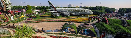 Dubai Miracle Garden
