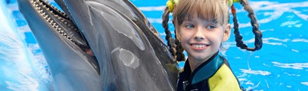 Marineland Dolphin Adventure