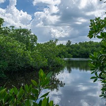 Varahicacos Ecological Reserve