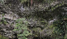 Fern Grotto