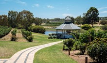 Swan Valley Vineyards