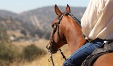 Kohl's Ranch Stables