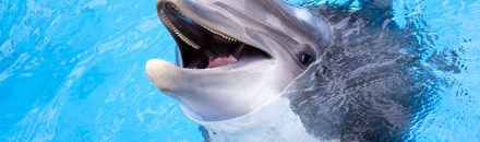 SeaWorld San Antonio