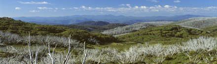 Kosciuszko National Park