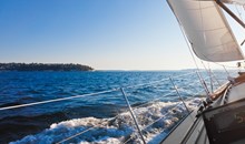 Boat Tours