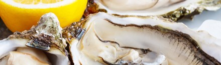 Shuckers Oyster Bar & Grill