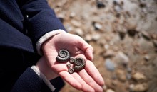 Fossil Hunting at Paleo Site