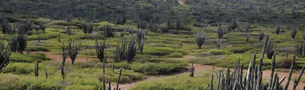 Washington-Slagbaai National Park