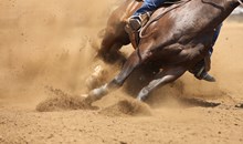 Steamboat Springs Rodeo