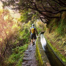 Levada Walks