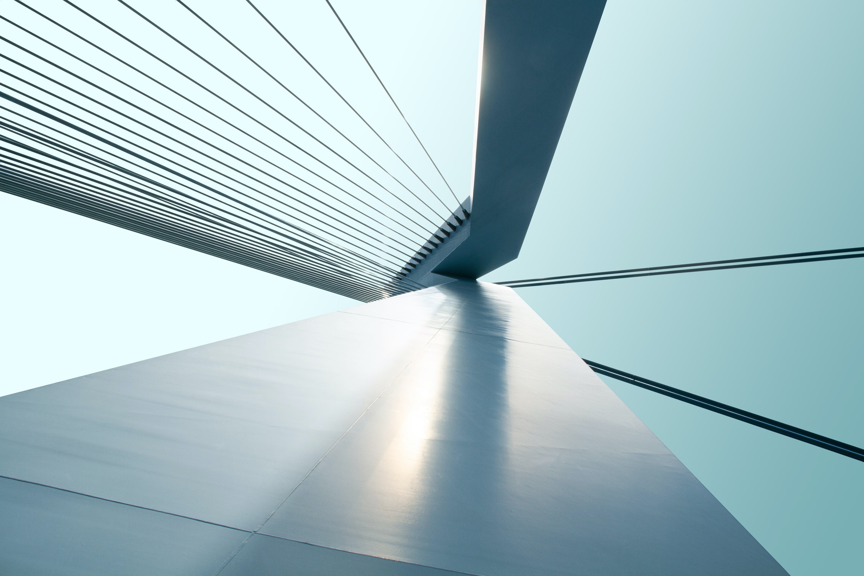 details of Erasmus Bridge