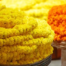 KR Market
