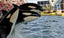 SeaWorld San Diego