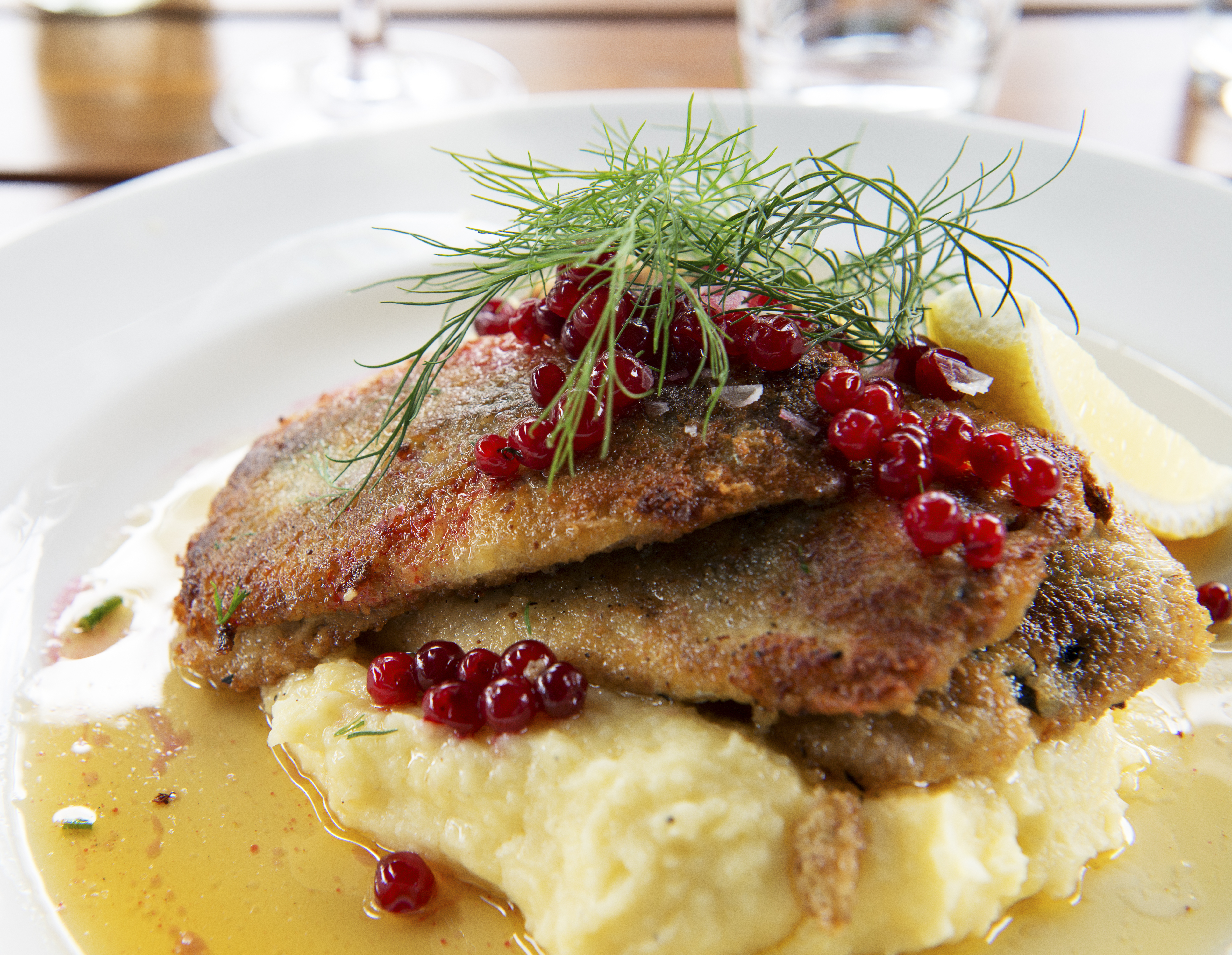 Fried herring with mashed potatoes, Swedish traditional delicacy