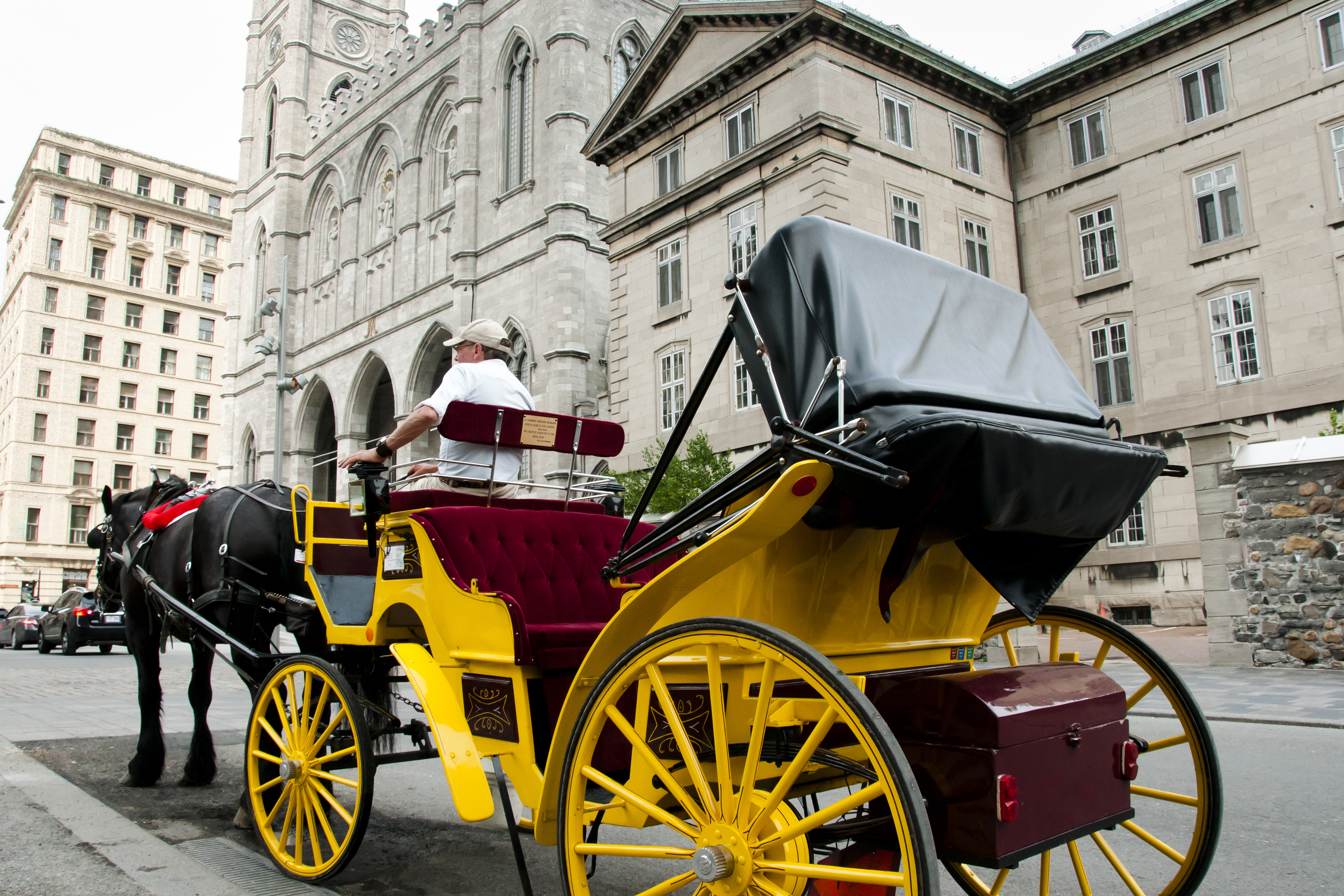 Horse-Drawn Carriage - Montreal - Canada