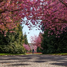 Best Time to Visit
