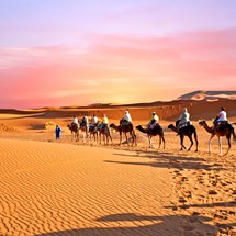 Morocco Expert Tours