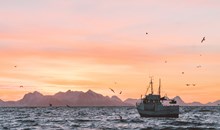 Elbe's Fiske & Marin AB