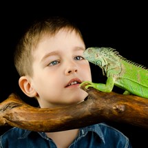 Zoo de Mescoules