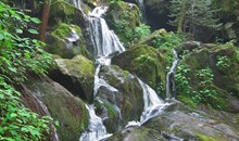 Roaring Fork