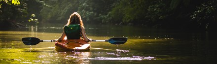 Kayaking in Mangrove Tunnels