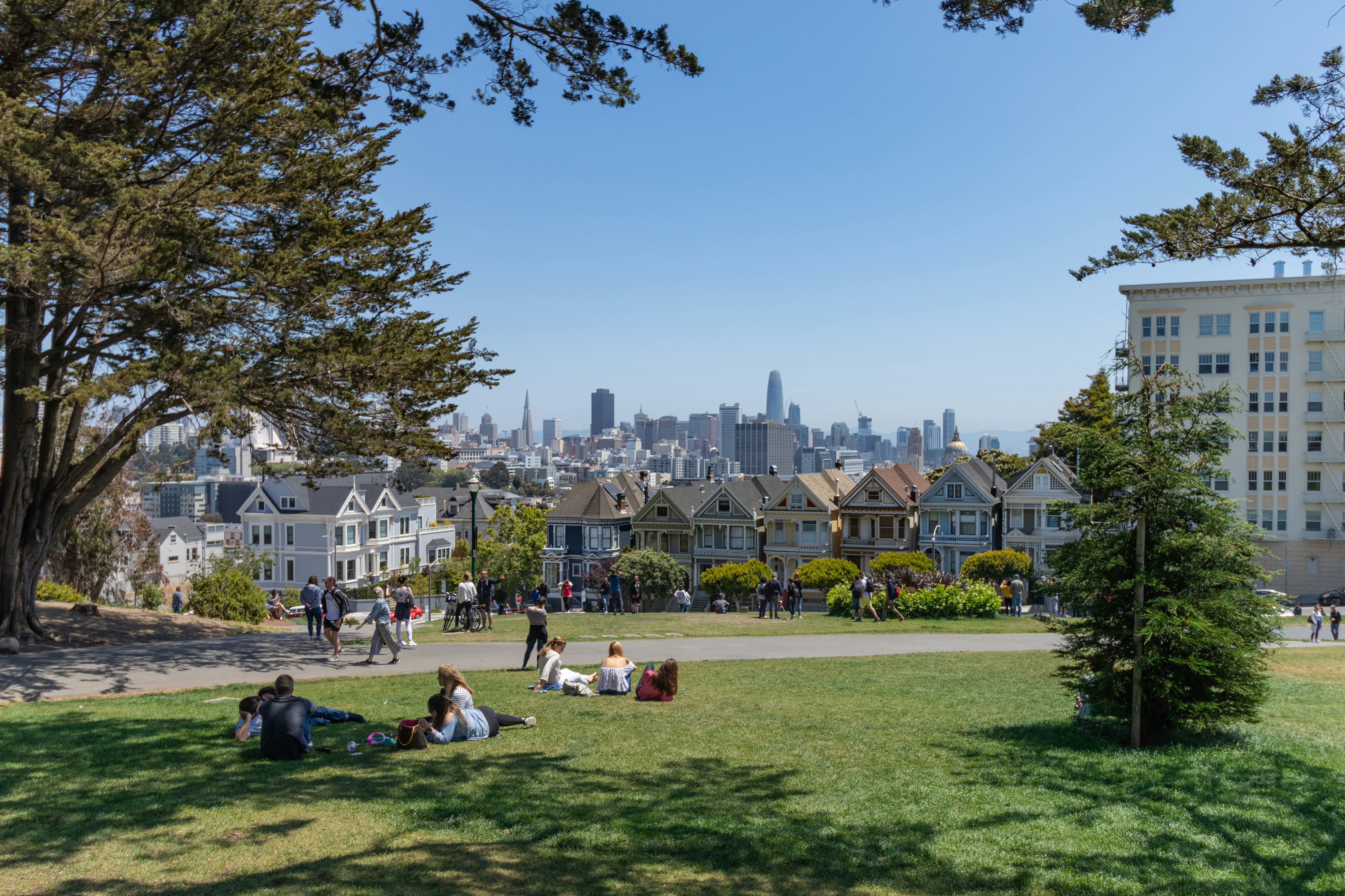 View of the Painted Ladies from the park