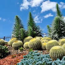 Royal Botanic Gardens Victoria