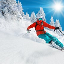 TMC Freeriderz