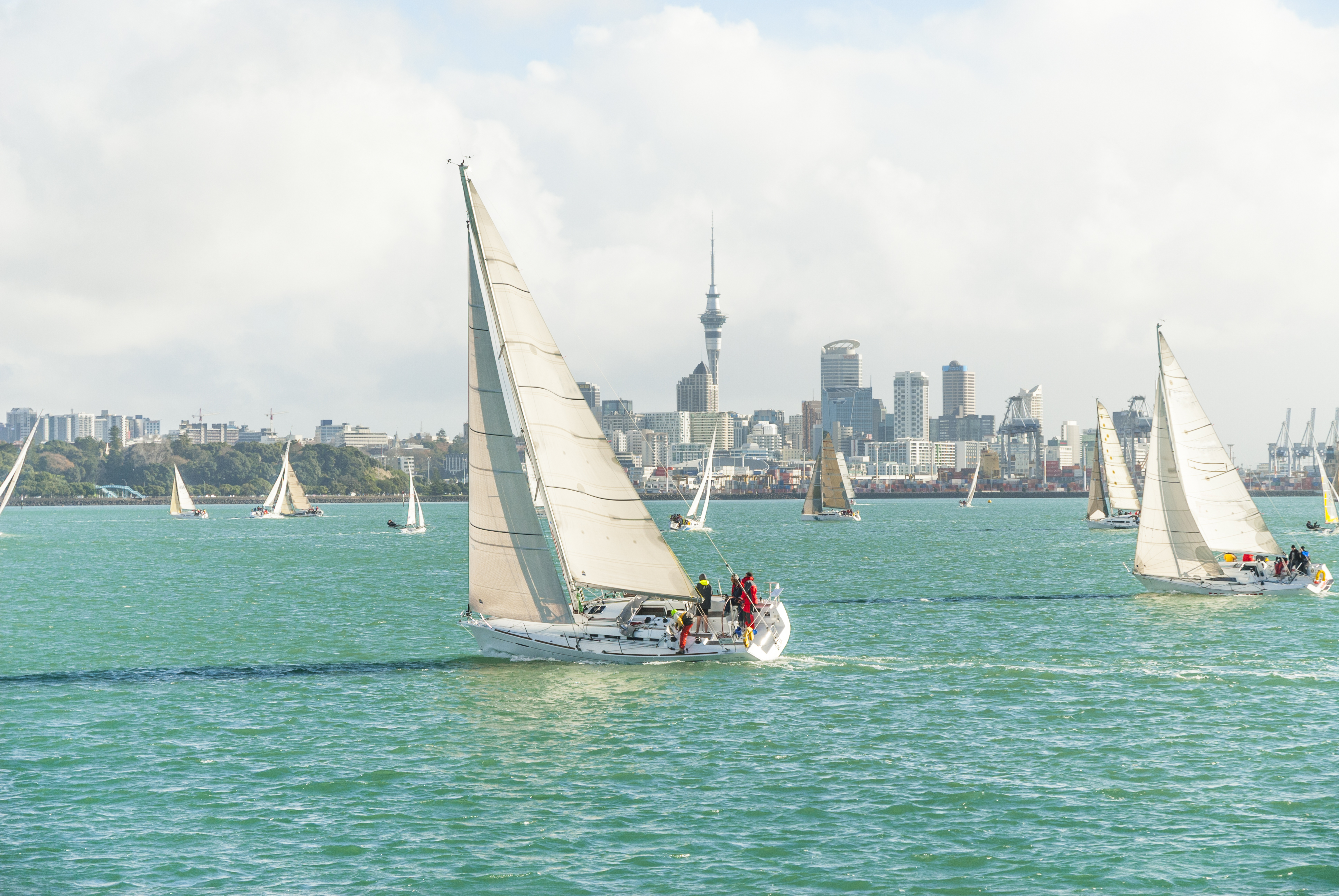 yachts racing in auckland harbour