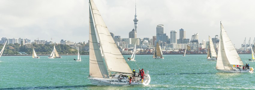 yachts racing in auckland harbour