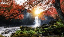 High Force Waterfall