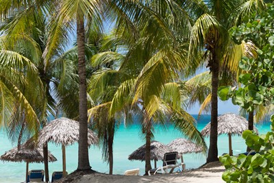 Varadero palm trees and beach - possohh/Shutterstock.com